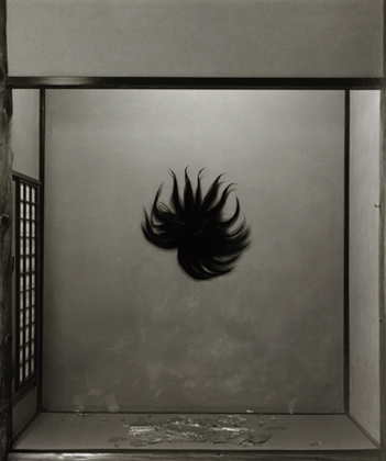 Tokonoma Series, Anger